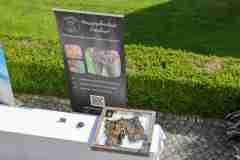 Sven Hannawald, Charity-Golfturnier, Golf, 10.07.2025