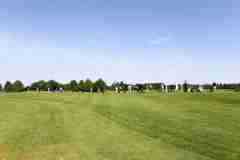 , 18. Stadler Golf Trophy 2017, Golf, 29.05.2016