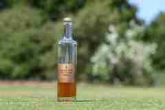 29. Stadler Golf Trophy 2023, Golf, 19.06.2023