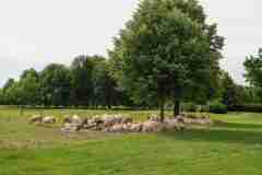 35. Stadler Golf Trophy 2026, Golf, 08.06.2026