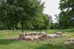 35. Stadler Golf Trophy 2026, Golf, 08.06.2026