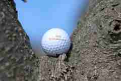 36. Stadler Golf Trophy 2026, Golf, 14.09.2026
