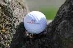 36. Stadler Golf Trophy 2026, Golf, 14.09.2026